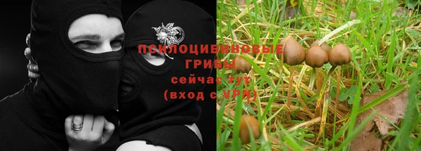 МДМА Верея