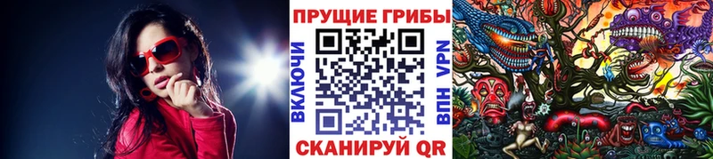 Галлюциногенные грибы Cubensis  Ростов 